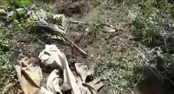 Belonia : BJP Miscreants allegedly destroyed orchard of a young man Belonia : BJP Miscreants allegedly destroyed orchard of a young man